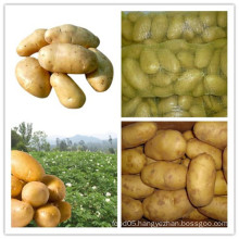 2015 Hot Sale High Quality Fresh Potato
